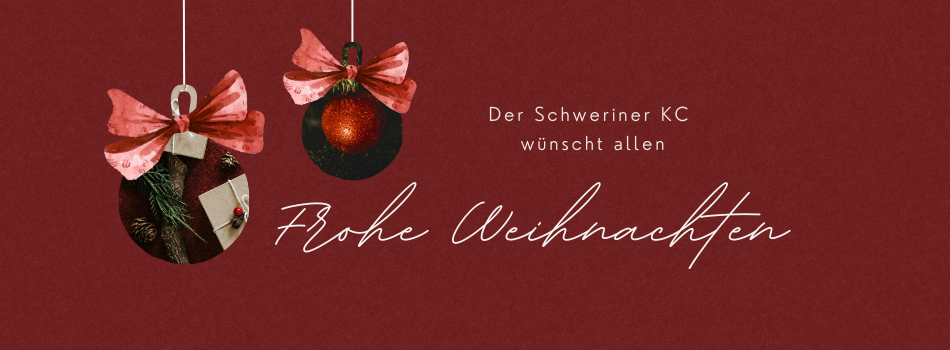 Frohes Fest und guten Rutsch in 2025